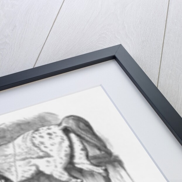 The Great-Little Random by Joseph Swain