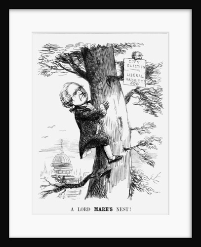 A Lord Mare's Nest! by Anonymous