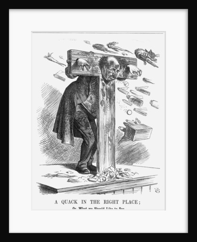 A Quack in the Right Place by John Tenniel
