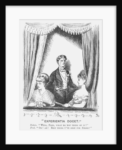 Experientia Docet by Edward Linley Sambourne