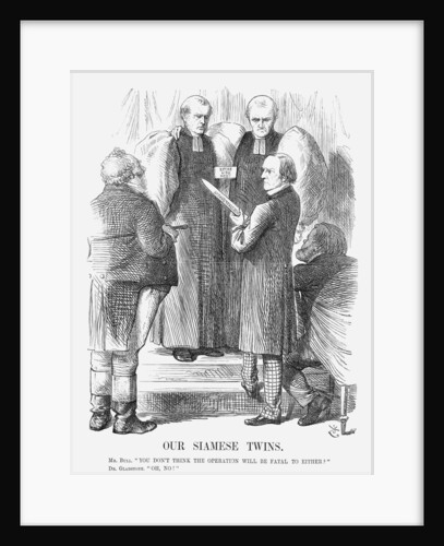 Our Siamese Twins by John Tenniel