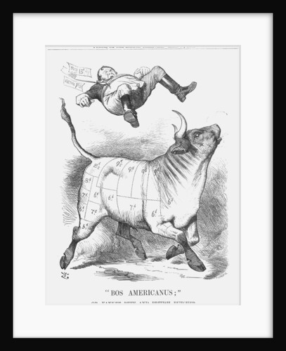 Bos Americanus by Joseph Swain