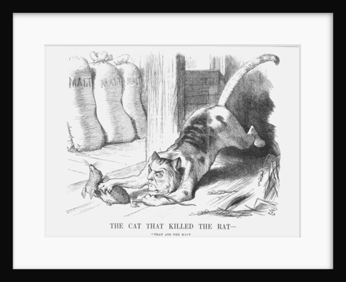 The Cat that Killed the Rat by Joseph Swain