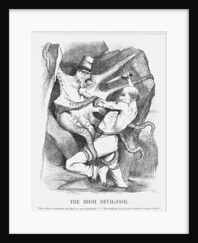 The Irish Devil-Fish by Joseph Swain
