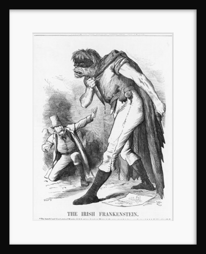 The Irish Frankenstein by Joseph Swain