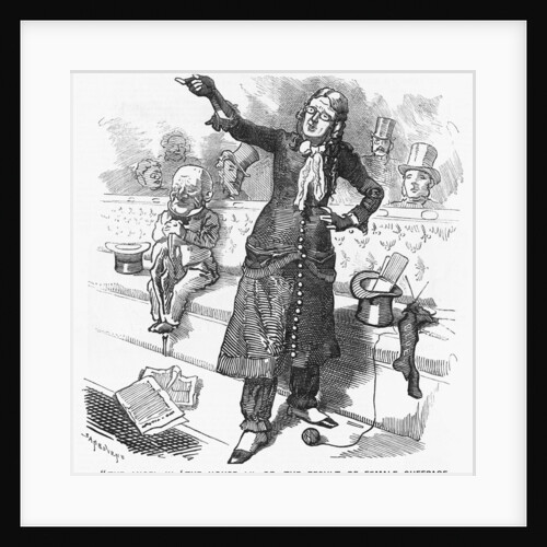 The Angel in The House; or the Result of Female Suffrage by Anonymous