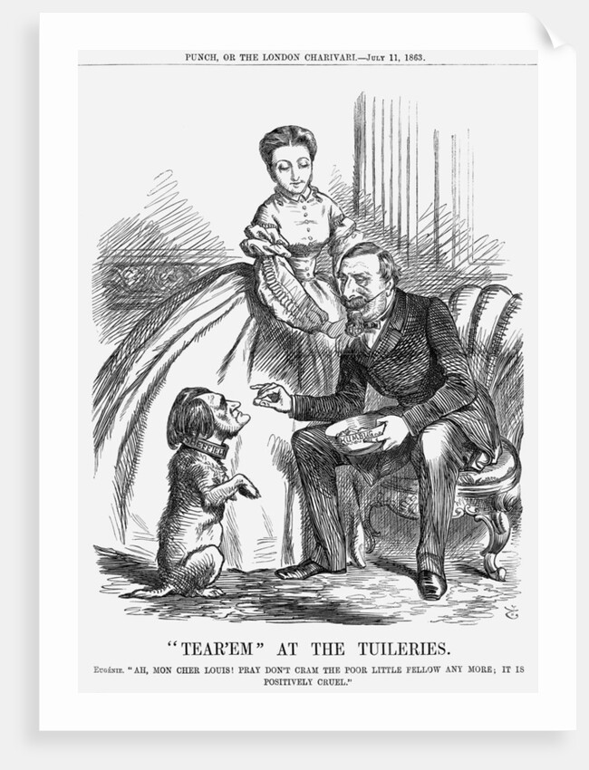 Tear'em At The Tuileries by John Tenniel