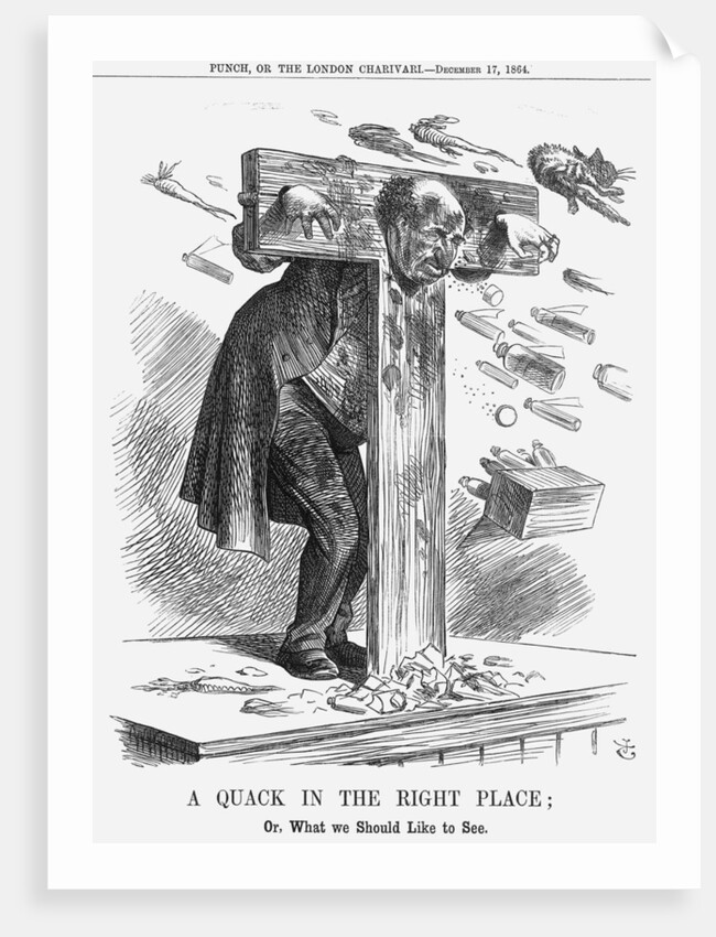 A Quack in the Right Place by John Tenniel