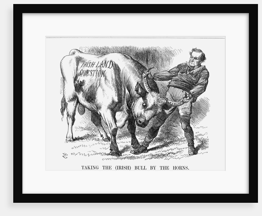 Taking the (Irish) Bull by the Horns by Joseph Swain