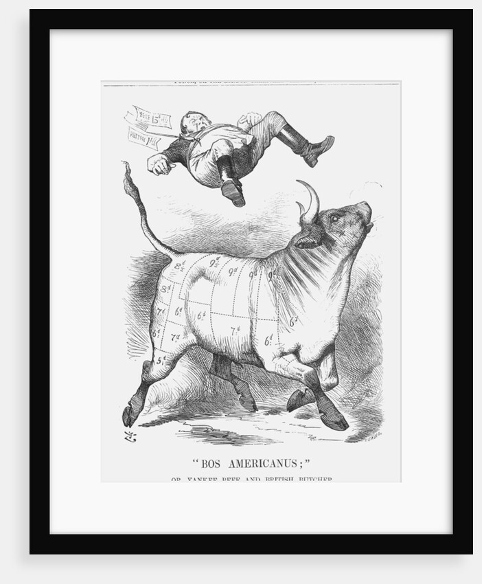 Bos Americanus by Joseph Swain