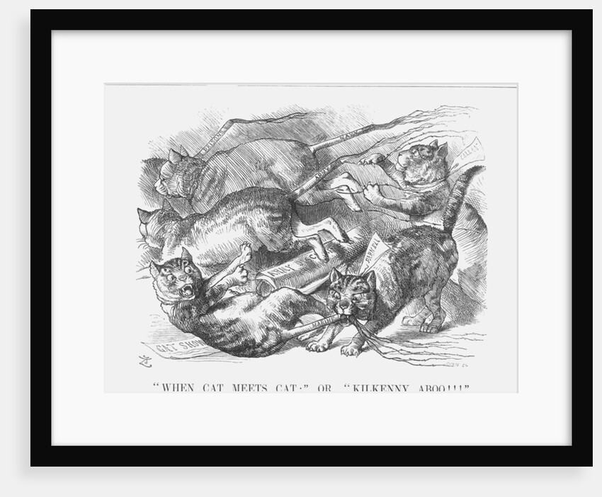 When Cat Meets Cat; or, Kilkenny Aboo!!! by Joseph Swain