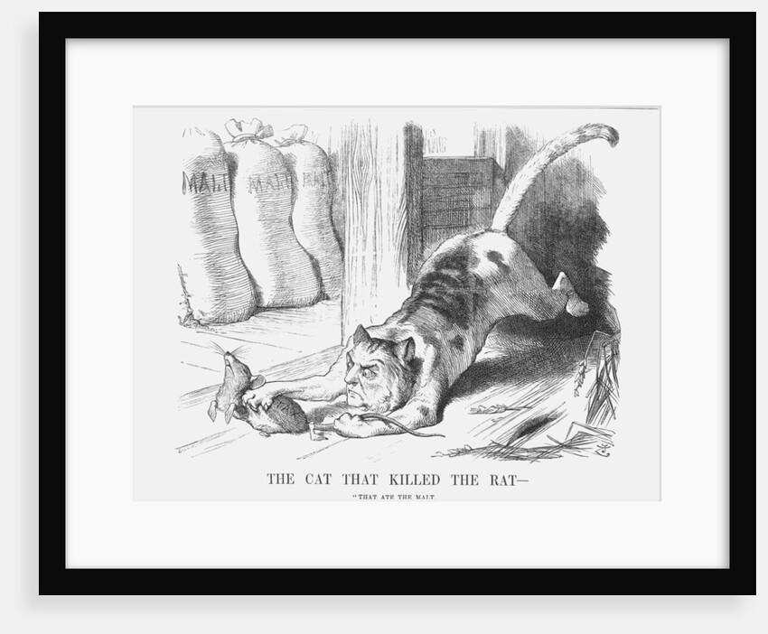 The Cat that Killed the Rat by Joseph Swain