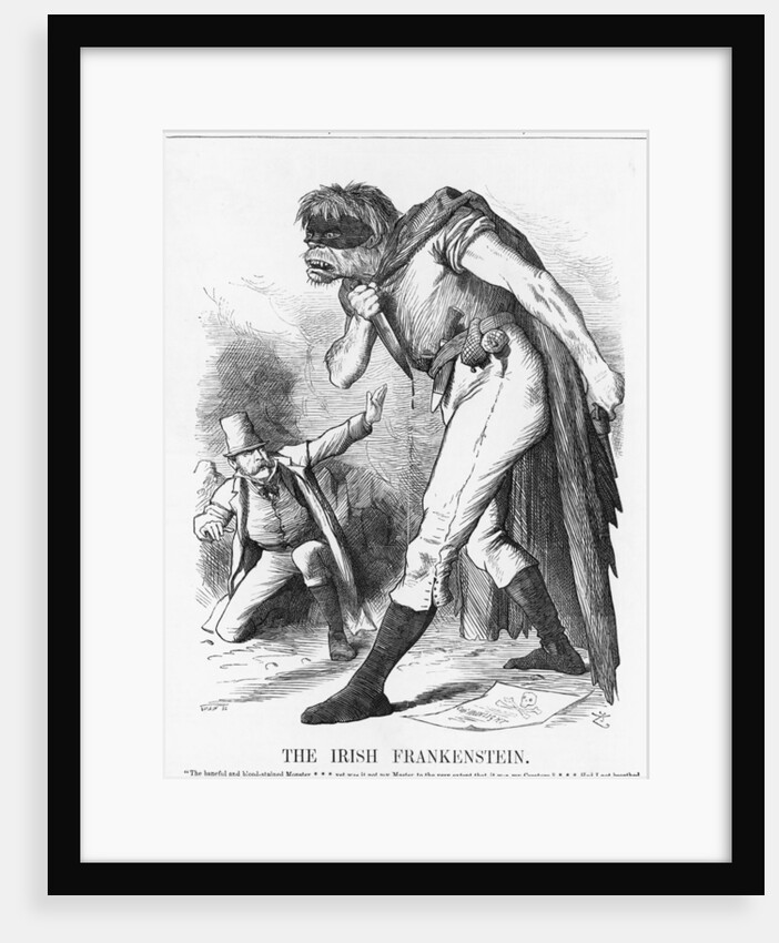 The Irish Frankenstein by Joseph Swain