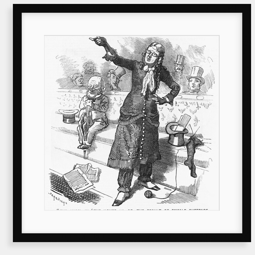 The Angel in The House; or the Result of Female Suffrage by Anonymous