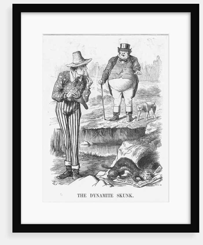 The Dynamite Skunk by Joseph Swain