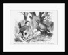 The Good Little Robins burying the Bills in the Wood by Anonymous