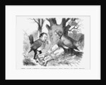 The Good Little Robins burying the Bills in the Wood by Anonymous