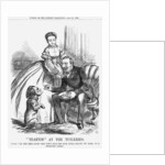 Tear'em At The Tuileries by John Tenniel
