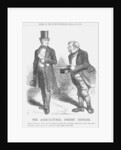 The Agricultural Jeremy Diddler by John Tenniel