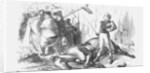 Come a Cropper! by Joseph Swain