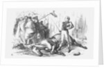 Come a Cropper! by Joseph Swain
