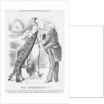 Fiat Experimentum-! by Joseph Swain