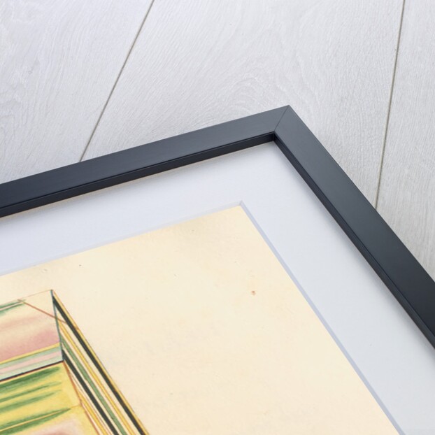 Apophyllite under polarized light by William Home Lizars