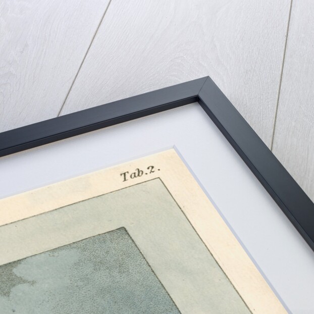 The Sun, observed through a prism by James Sowerby