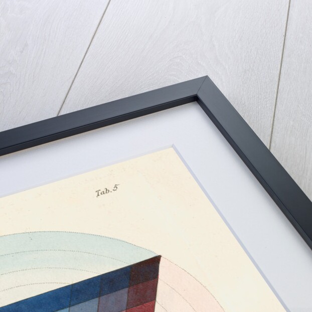 The chromatic scale by James Sowerby