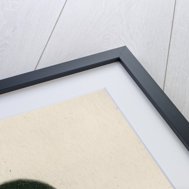 Portrait silhouette of Edward Jenner (1749-1823) by Anonymous