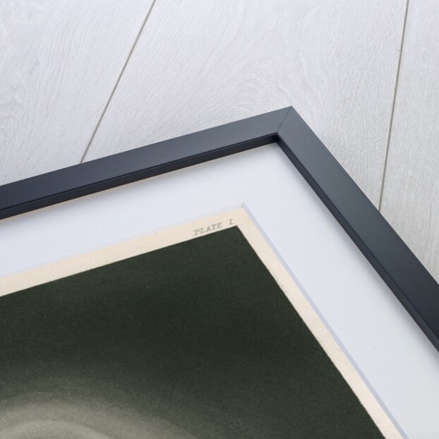 Donati's Comet, 2 October 1858 by James W Watts