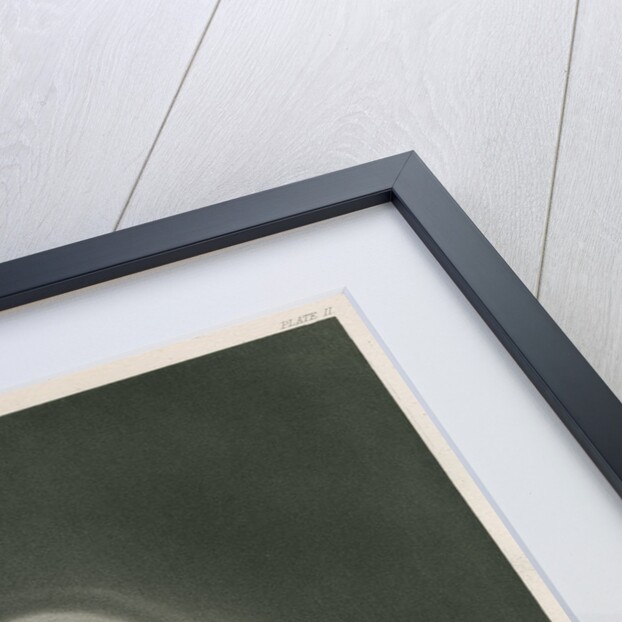 Donati's Comet, 10 October 1858 by James W Watts