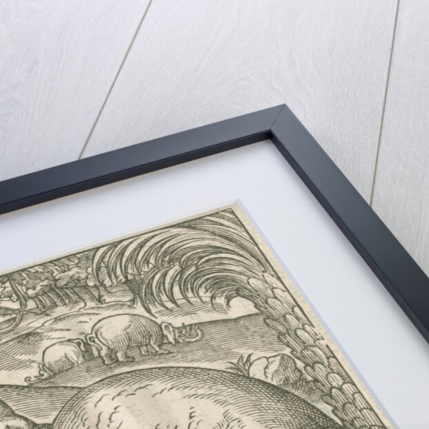 'Figure du combat du Rhinoceros contre l'Elephant' by unknown