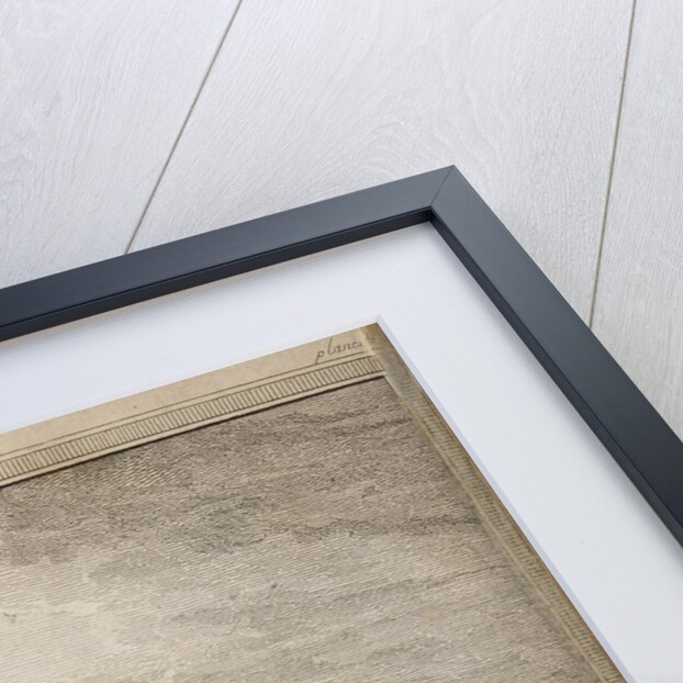 Flight of a Montgolfier balloon by Nicholas Delaunay