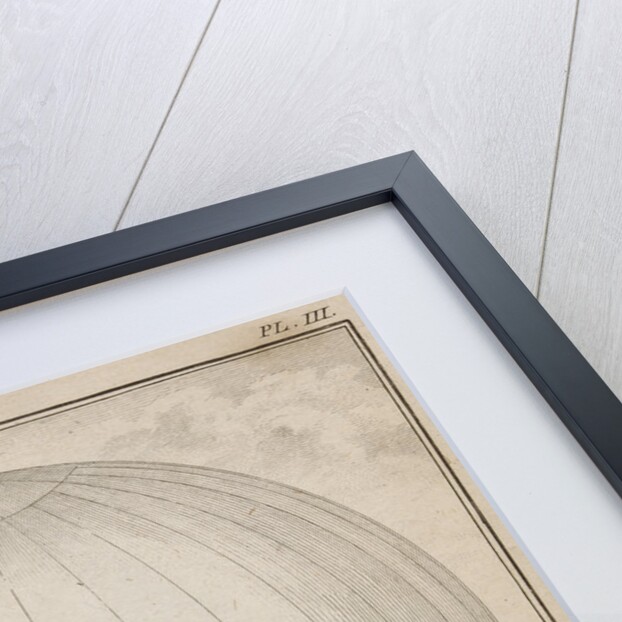 Filling a balloon with hydrogen gas by Bertault