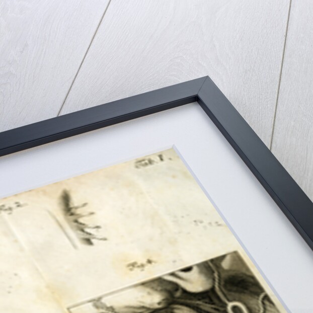 Details of the anatomy of the head and neck by Goett