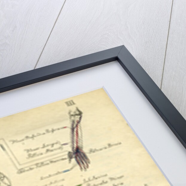 Muscle distribution of the upper body (front) by Joseph Constantine Carpue