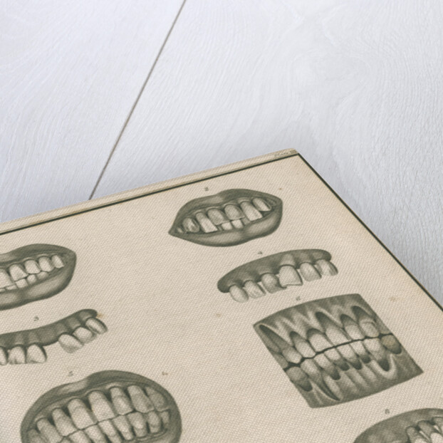 Irregularities of the teeth by Parks