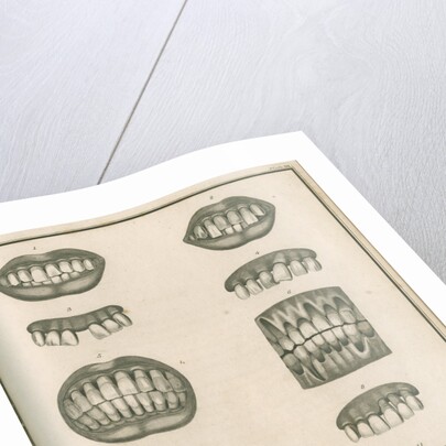 Irregularities of the teeth by Parks