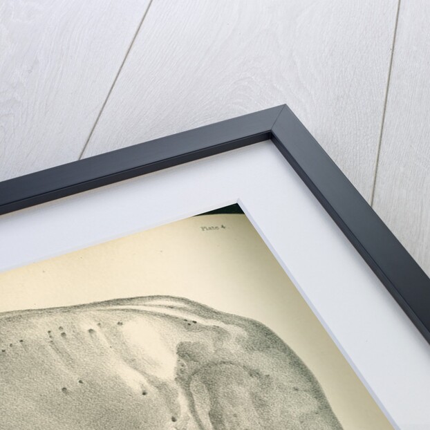 Front view of the right hip and femur by J Perry