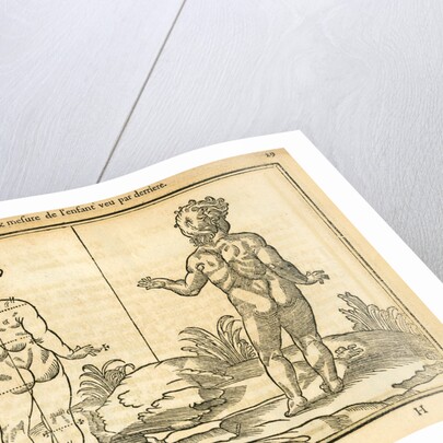 Proportions of a child (back view) by unknown