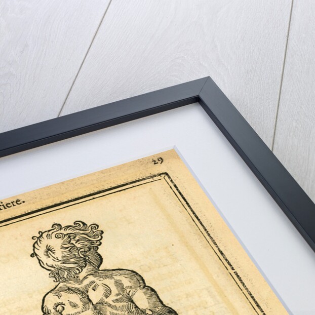 Proportions of a child (back view) by unknown