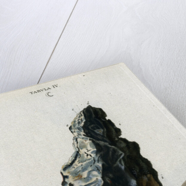 Crude white silver by Johann Michael Seligmann