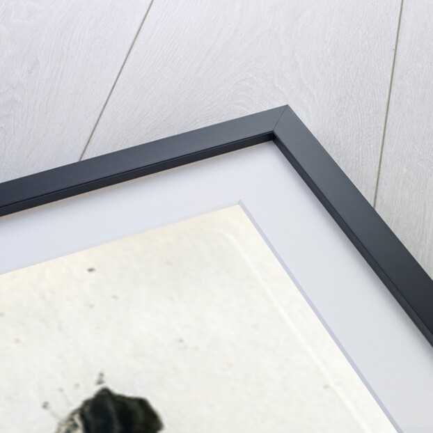 Crude white silver by Johann Michael Seligmann