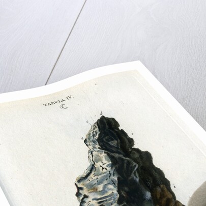 Crude white silver by Johann Michael Seligmann