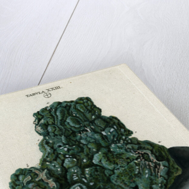 Crystalline Green Copper by Johann Sebastian Leitner