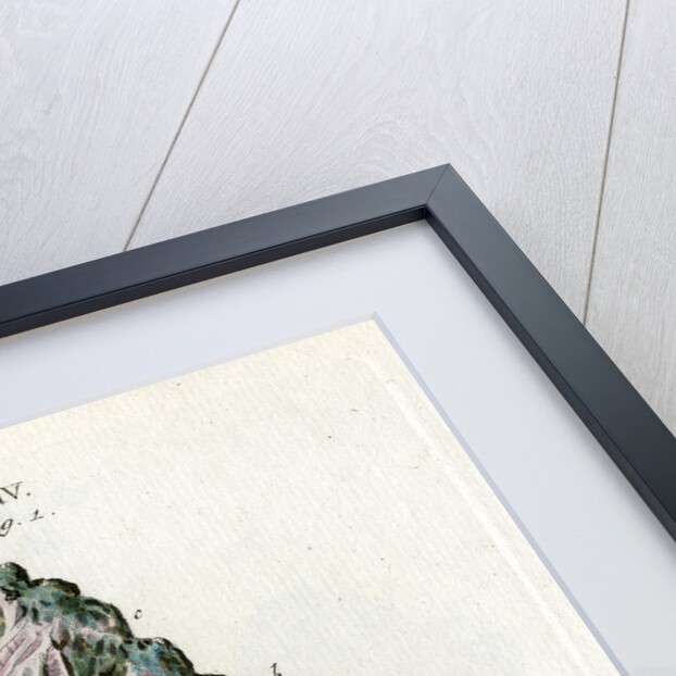 Cobalt by Johann Sebastian Leitner