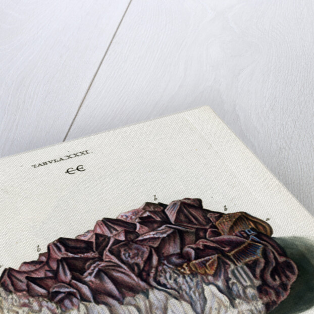 Quartz with Amethyst Crystals by Johann Sebastian Leitner