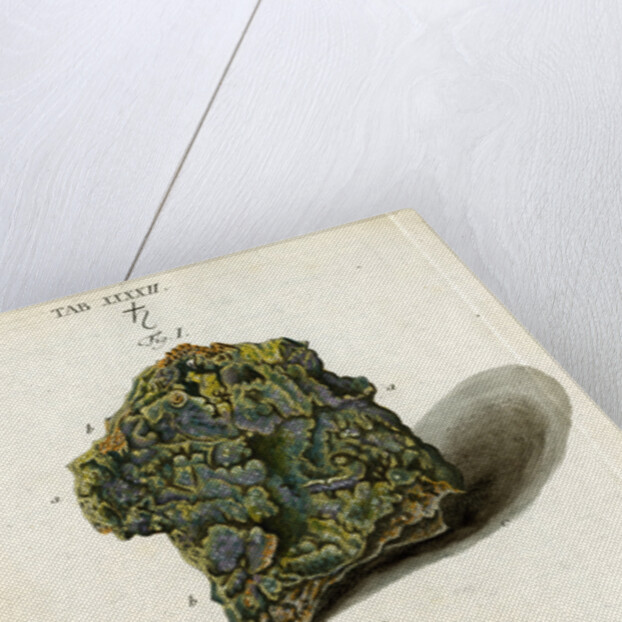Green mineral of lead by Johann Sebastian Leitner
