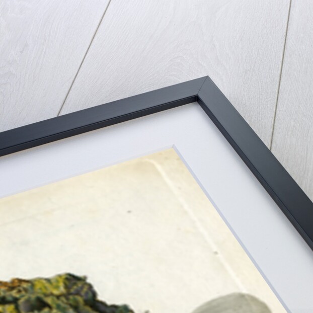 Green mineral of lead by Johann Sebastian Leitner